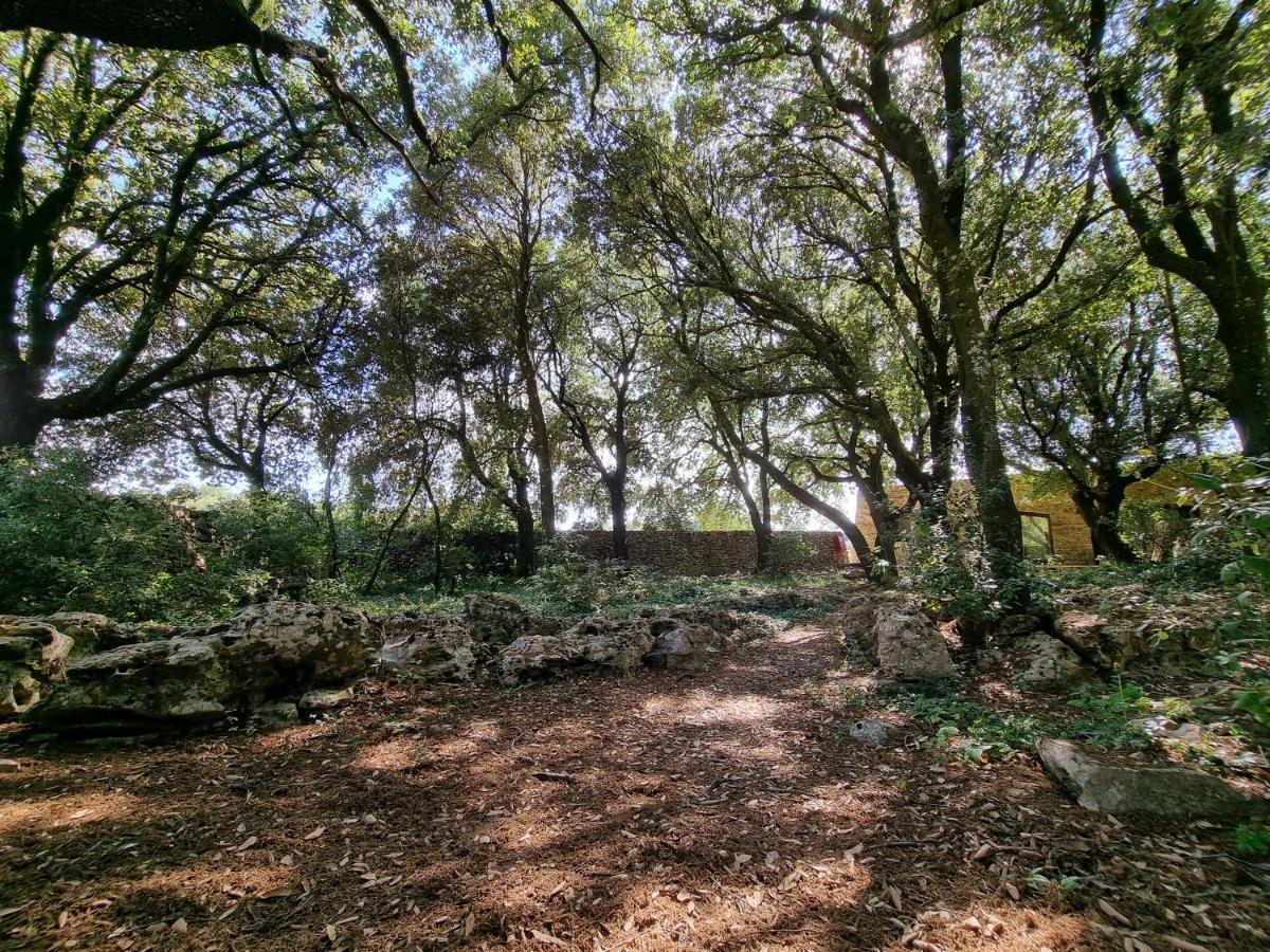 Agriturismo Iazzo Scagno Martina Franca Zewnętrze zdjęcie
