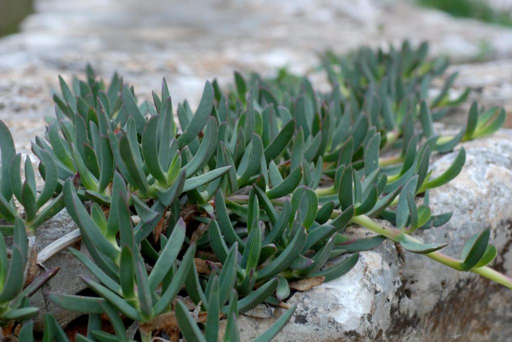 Agriturismo Iazzo Scagno Martina Franca Zewnętrze zdjęcie