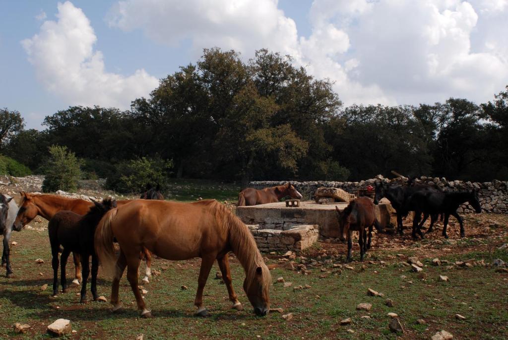 Agriturismo Iazzo Scagno Martina Franca Zewnętrze zdjęcie