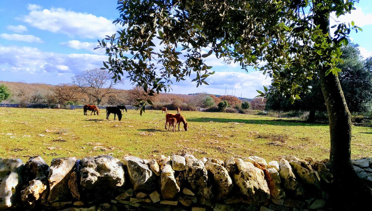 Agriturismo Iazzo Scagno Martina Franca Zewnętrze zdjęcie