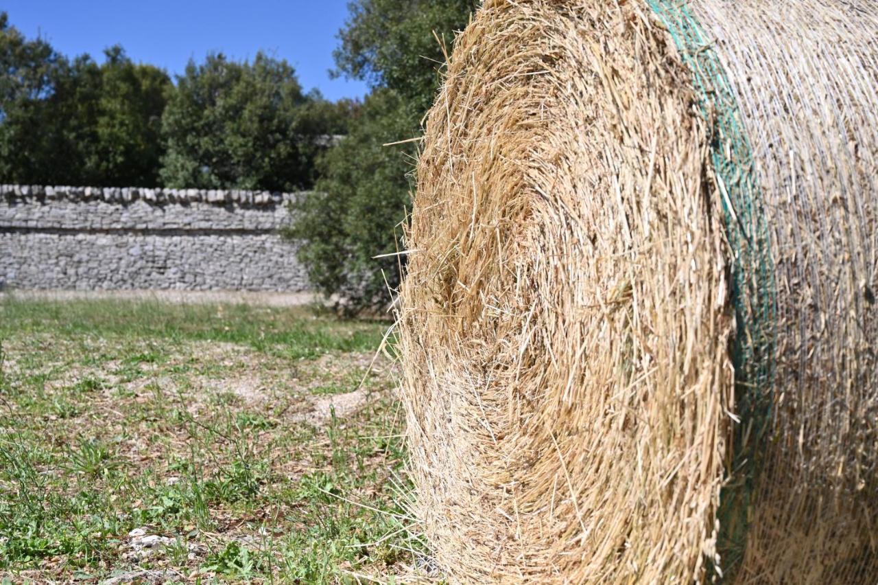 Agriturismo Iazzo Scagno Martina Franca Zewnętrze zdjęcie